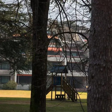 Monolocale Sul Lago Con Piscina Apartment *